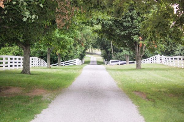 Gravel Driveway Construction in Saint Charles