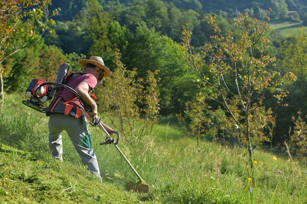 Cost of Slope Trimming in Saint Charles